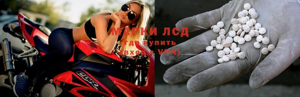 гидра Липки